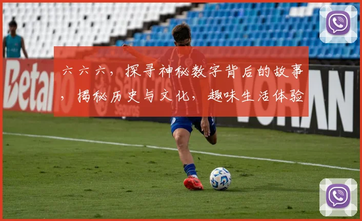 六六六，探寻神秘数字背后的故事，揭秘历史与文化，趣味生活体验